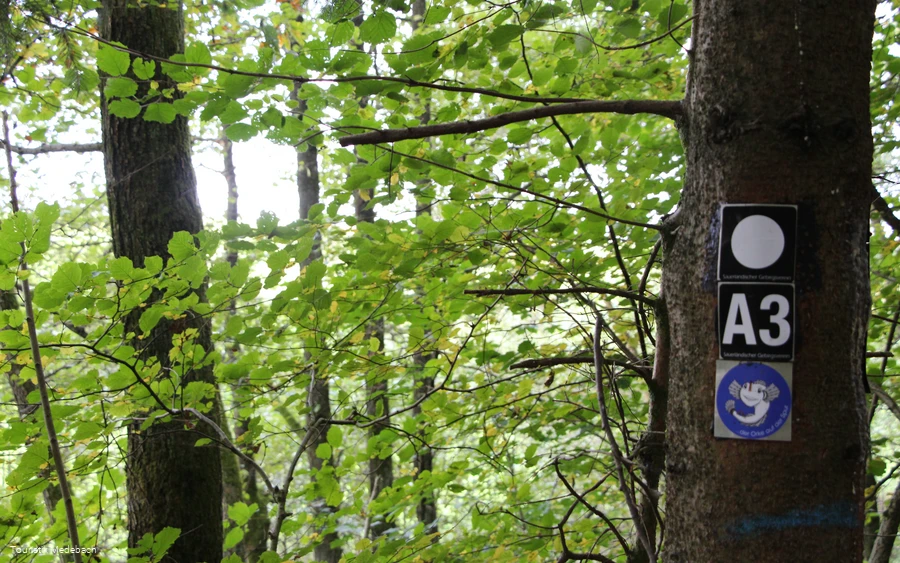 Orkepfad Medelon - Koppi weist den Weg