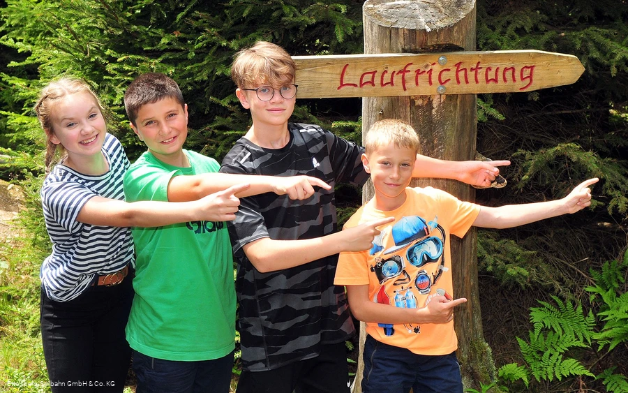 Der Kyrillpfad auf dem Willinger Ettelsberg bietet Kindern und Erwachsenen einen Einblick in die Natur und zeigt, was der Sturm "Kyrill" im Januar 2007 anrichtete. Foto: Sascha Pfannstiel/Ettelsberg-Seilbahn