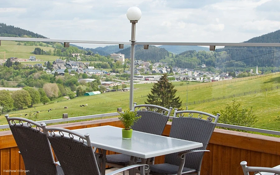 Waldhotel Willingen Terrasse.jpg Waldhotel Willingen Terrasse.jpg