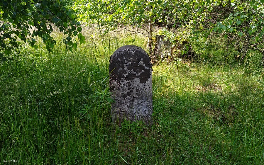 imagemetaapiv2 (9).jpg