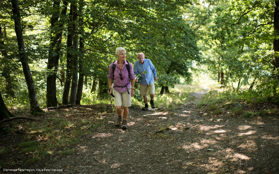 Wanderung Diemelsee - H2