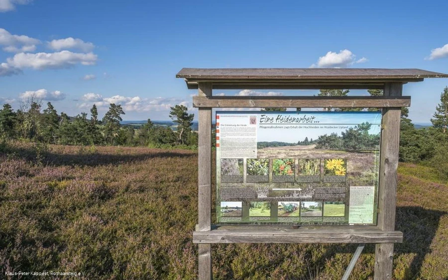 Infotafel am Kahlen Pön 