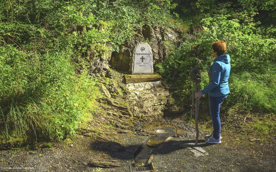 Frau am Christenboernchen bei Willingen-Usseln