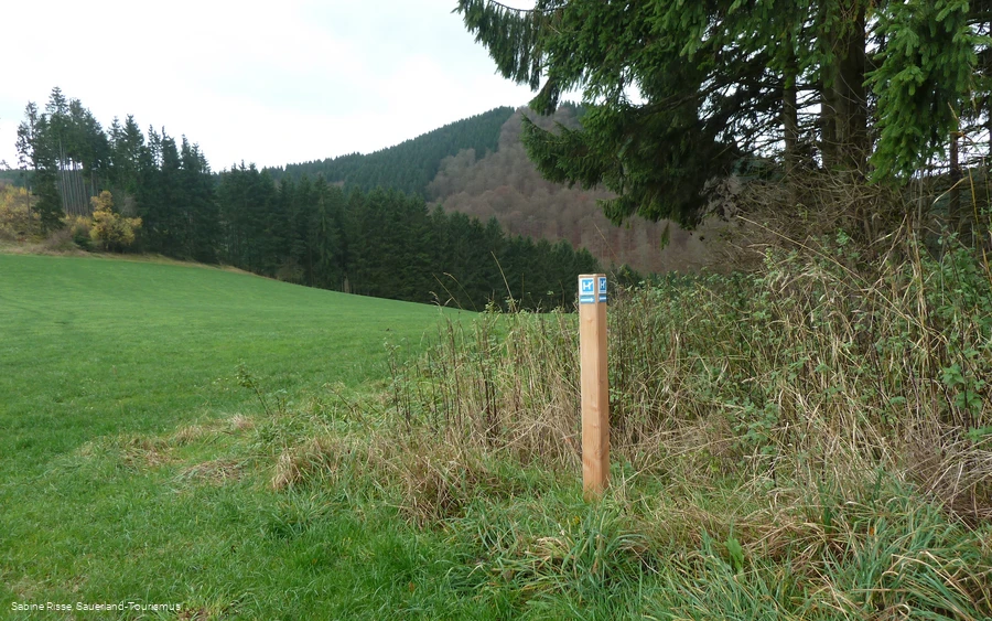 Wandern auf der Höhenflug-Rundtour durch´s Sorpetal