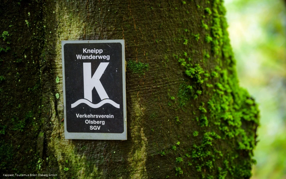 Olsberger Kneipp WanderWeg