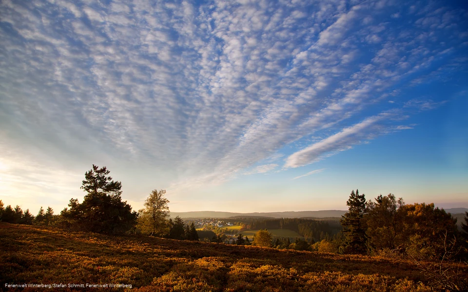 Hochheide in Niedersfeld