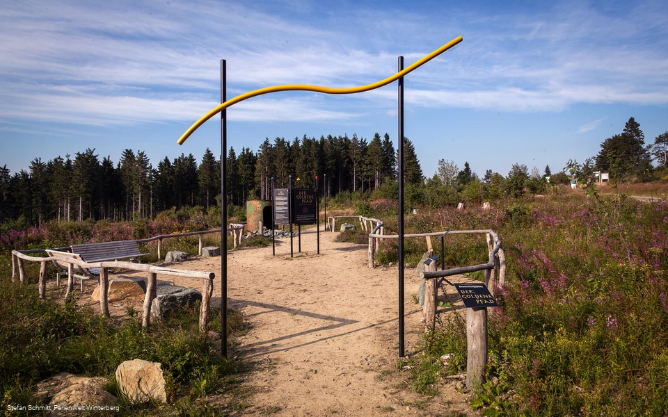 Der Einstimmungsplatz (Station 1) des Landschaftstherapiepfads auf der Niedersfelder Hochheide