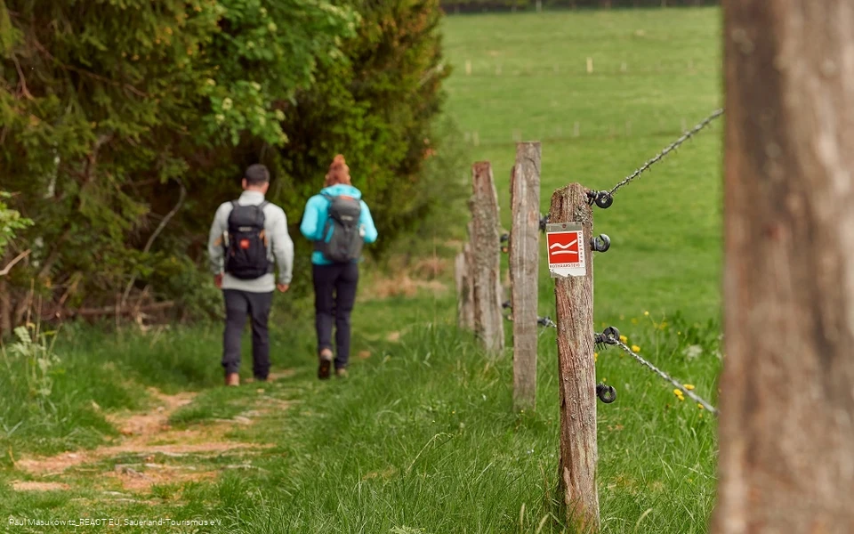 Pfad bei Küstelberg auf dem Rothaarsteig