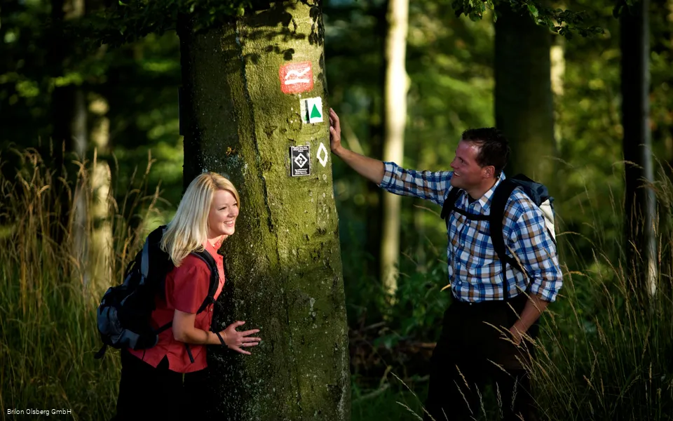 Ein Paar auf dem Briloner Kammweg