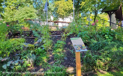Kräutergarten am Vogelerlebnispfad Medebach-Dreislar