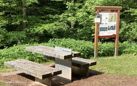 wanderparkplatz-willingen-hoher-eimberg.jpg