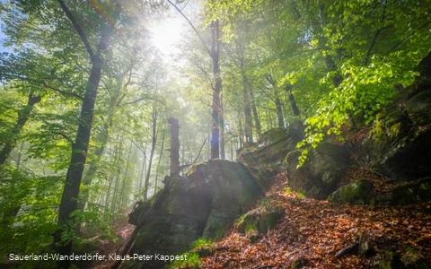 Hollenfelsen im Sonnenlicht