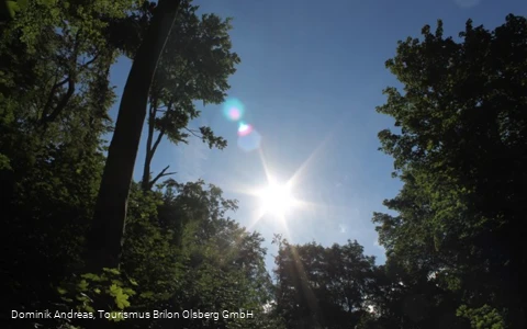 Naturschutzgebiet Drübel