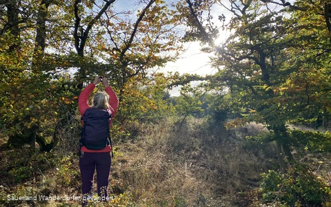 Unterwegs auf dem Medebacher Bergweg