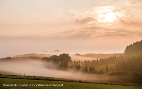 Nebellandschaft Schmallenberg