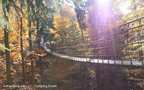Hängebrücke am Rothaarsteig im Herbst