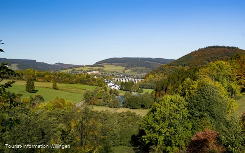 Blick vom Stryck auf Willingen 
