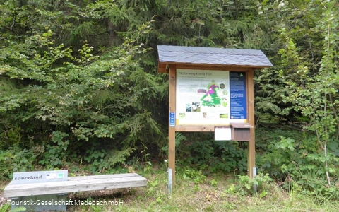 Wanderportal Natutweg Kahler Pön