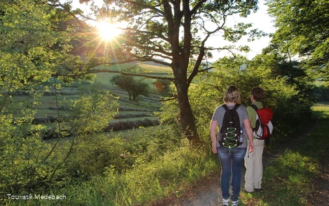 Unterwegs auf dem Medebacher Bergweg
