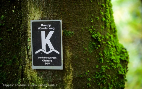 Olsberger Kneipp WanderWeg
