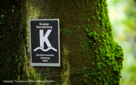 Auf dem Kneipp WanderWeg Olsberg
