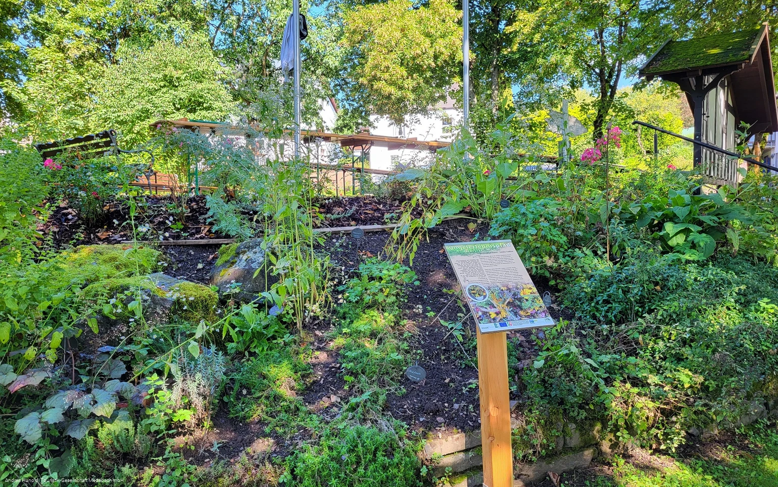 Kräutergarten am Vogelerlebnispfad Medebach-Dreislar