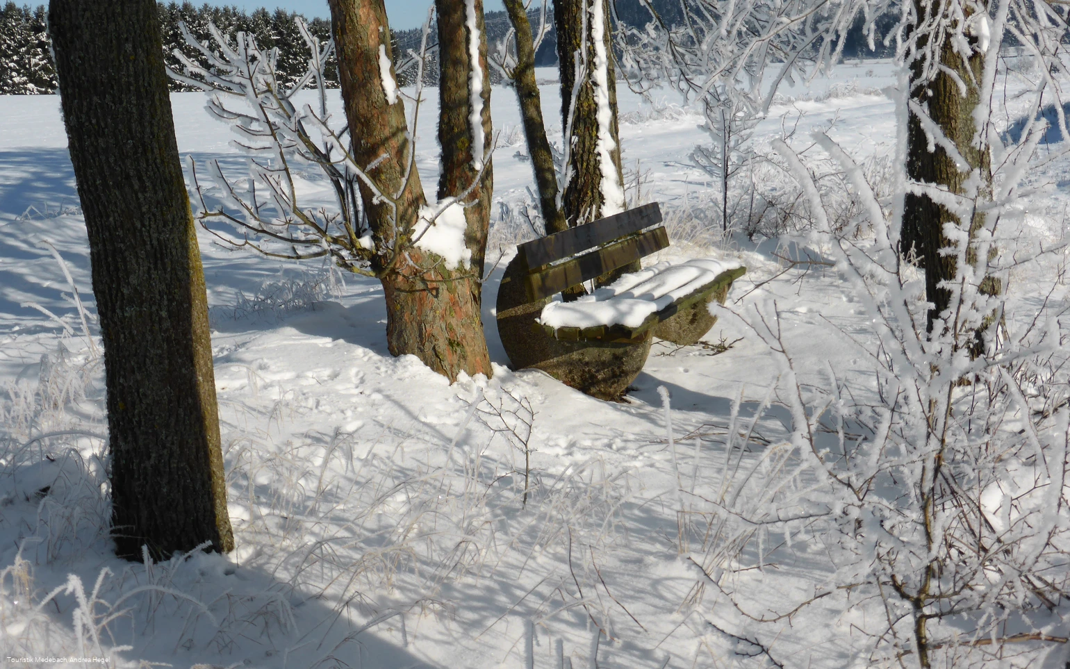 Winter in Medebach