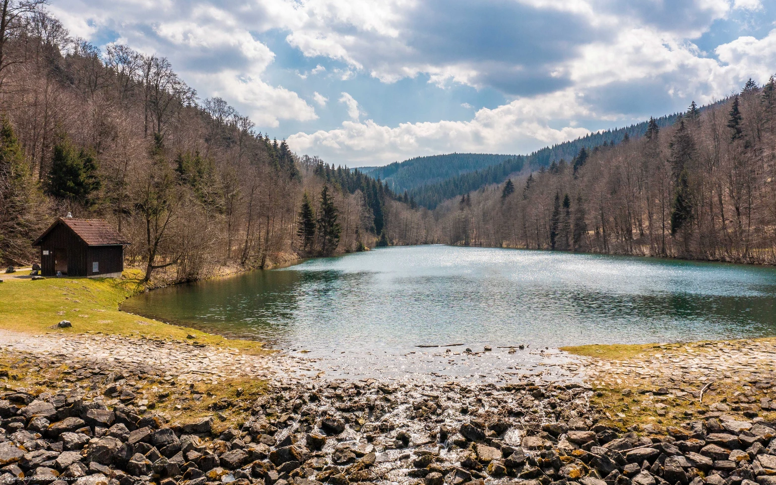 Ein voller Schmalahsee im frühen Frühling, die Bäume sind alle noch ohne Laub