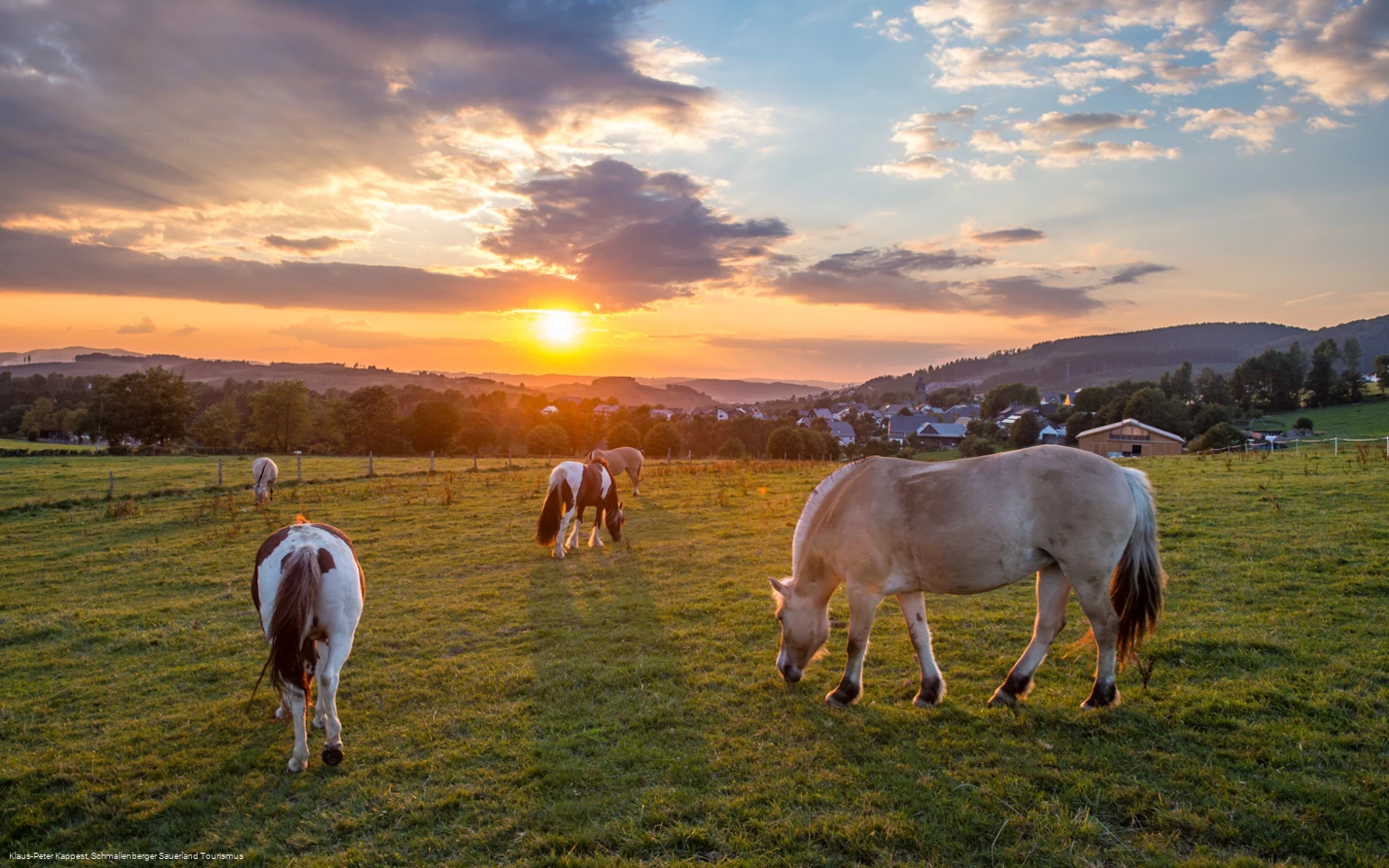 Blick auf Holthausen im Schmallenberger Sauerland