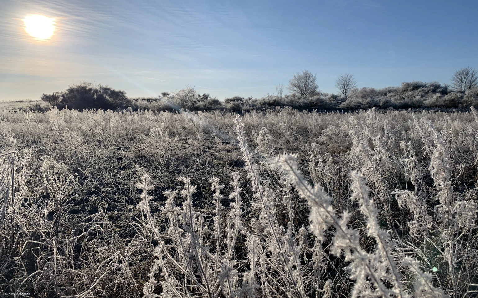 Winterlandschaft in Medebach