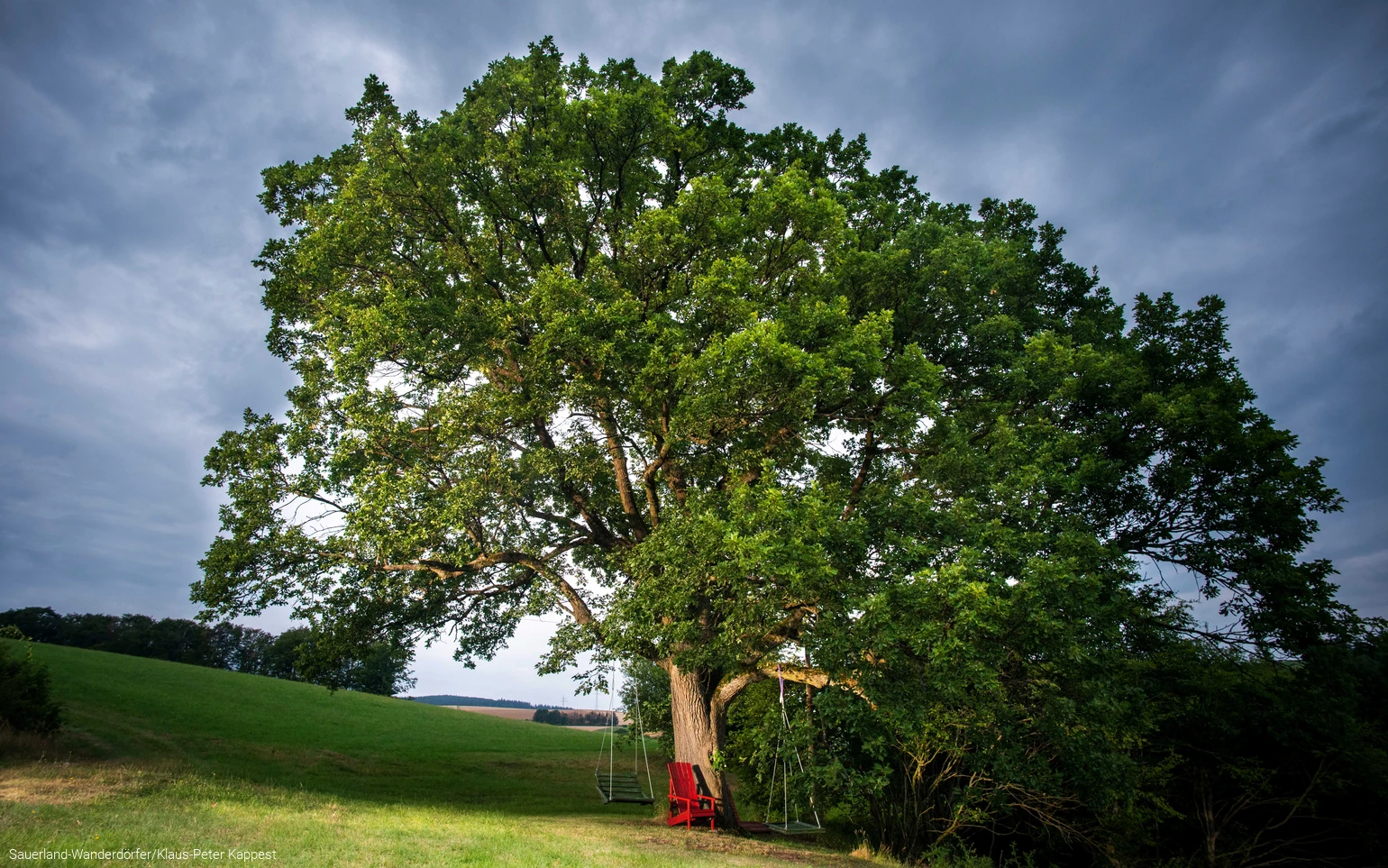 Eiche im Ohl mit rotem Stuhl