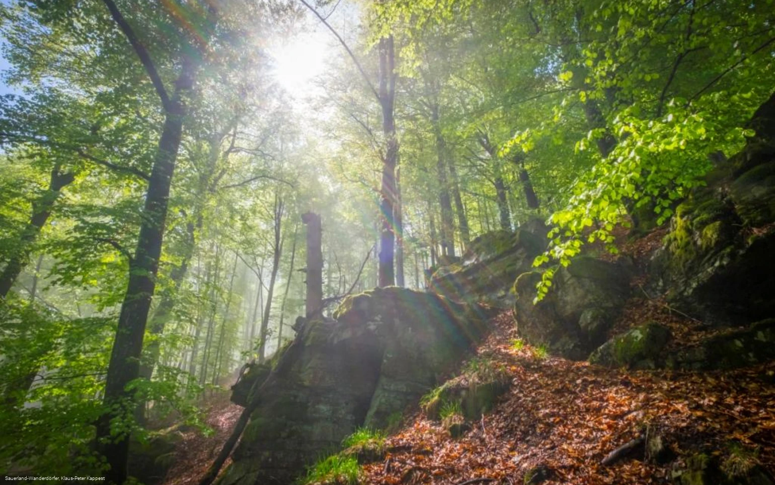 Hollenfelsen im Sonnenlicht