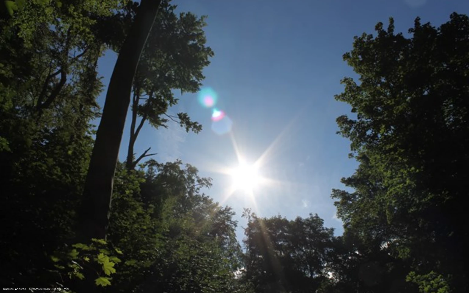 Naturschutzgebiet Drübel