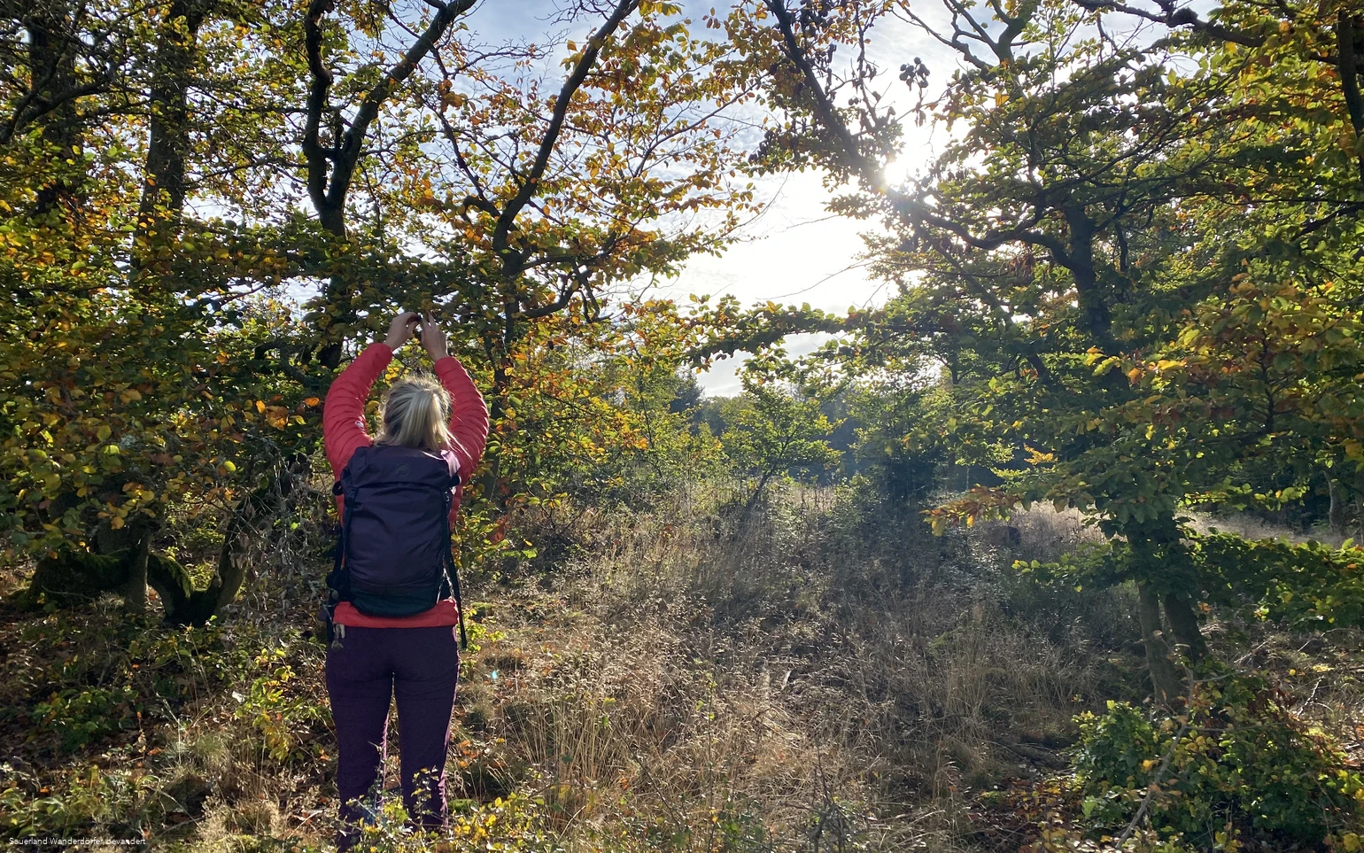 Unterwegs auf dem Medebacher Bergweg