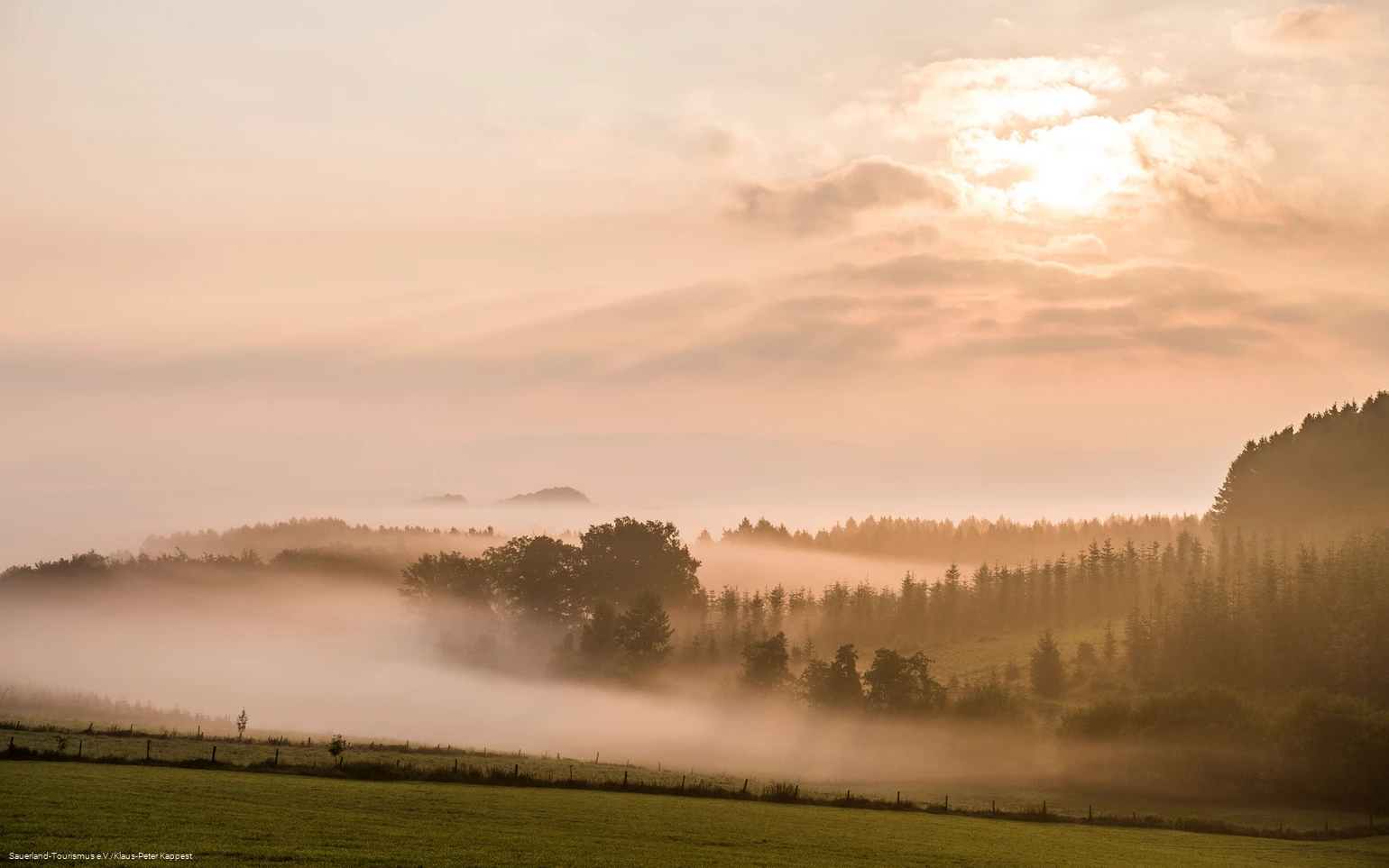 Nebellandschaft Schmallenberg
