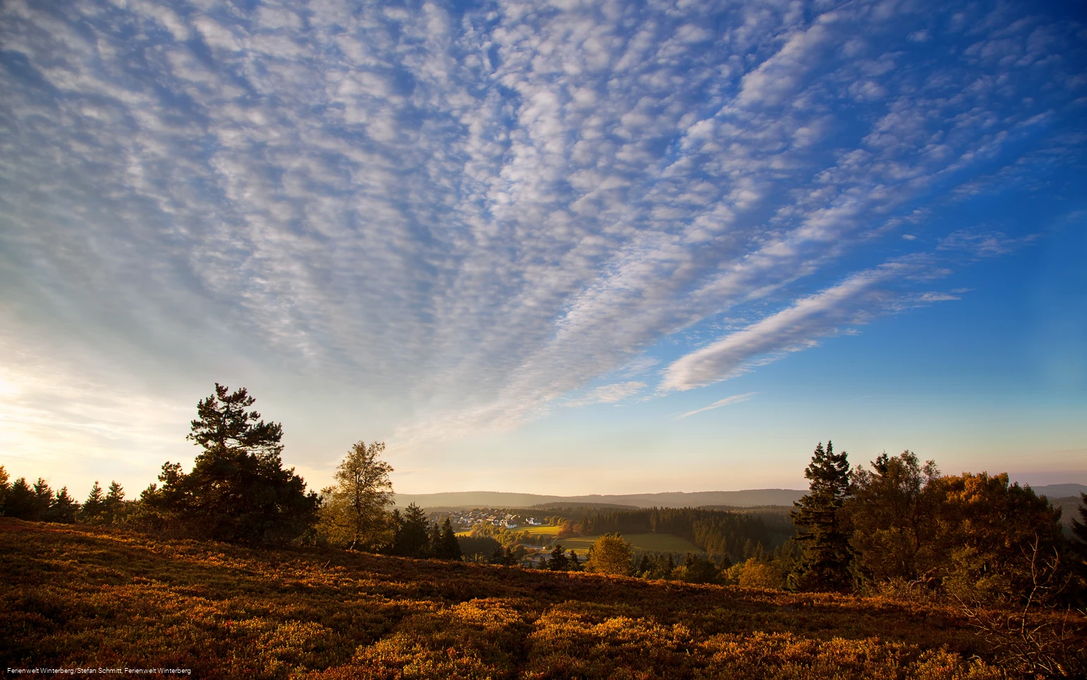 Hochheide in Niedersfeld
