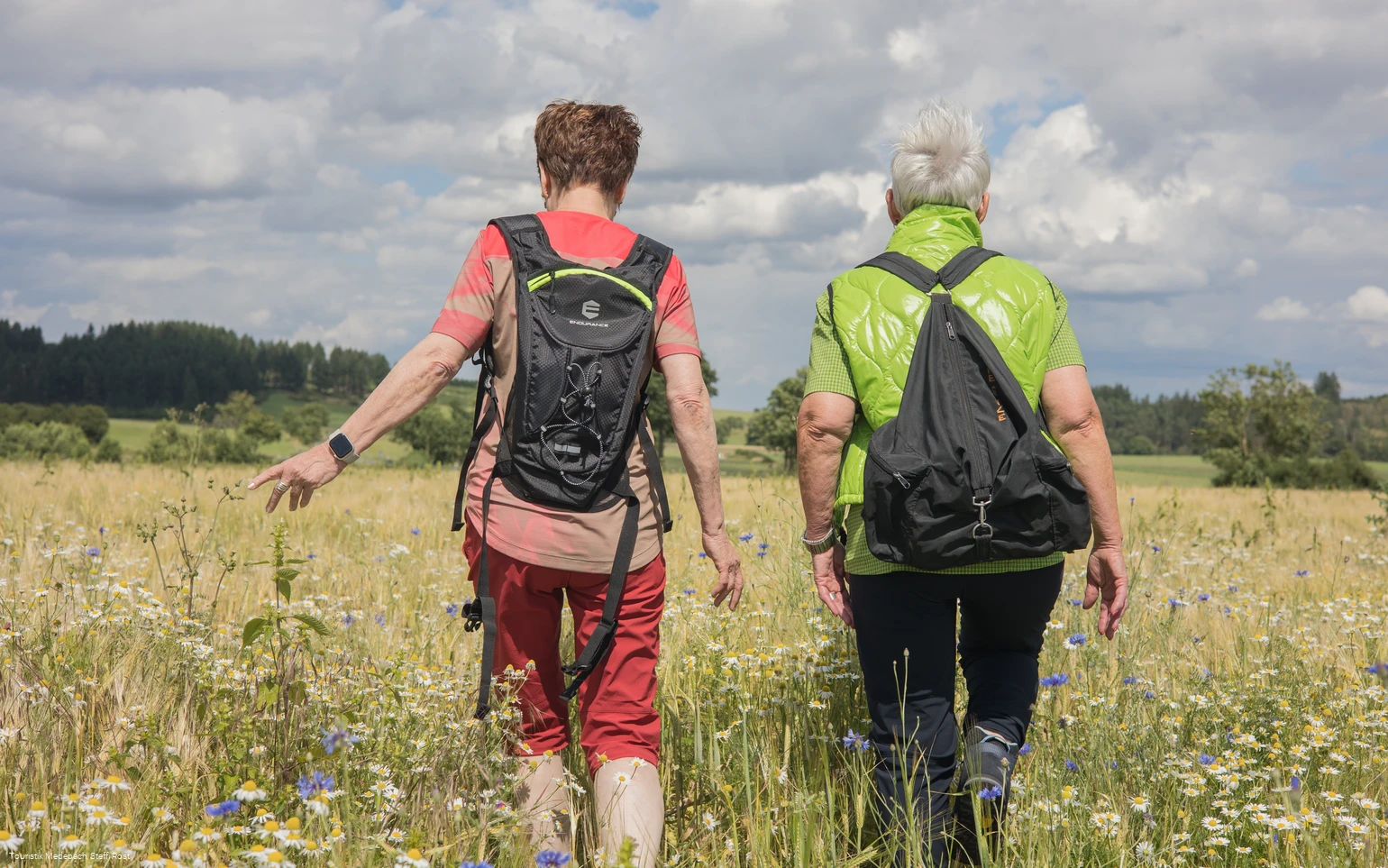 Wandern in der Ferienregion Medebach