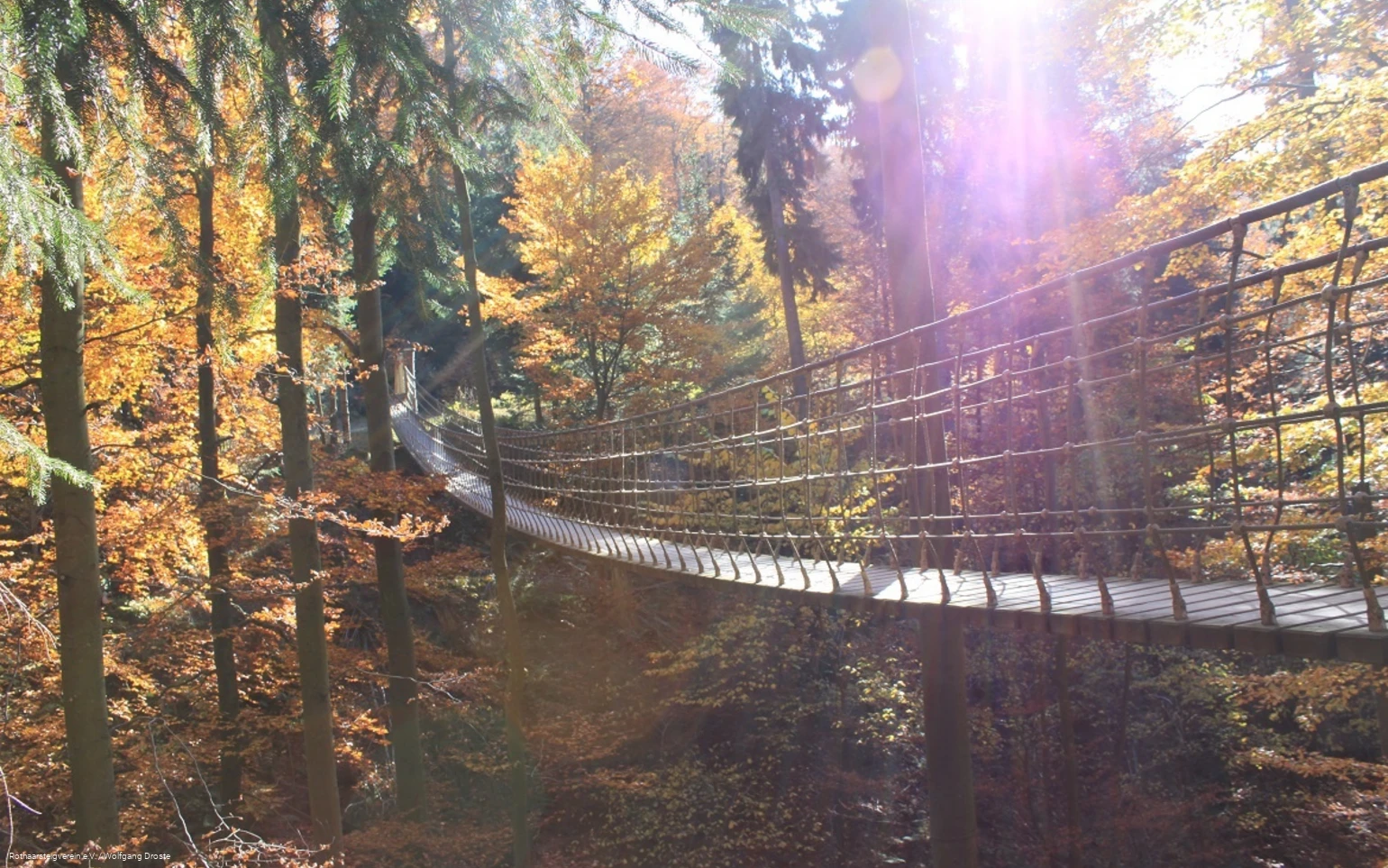 Hängebrücke am Rothaarsteig im Herbst