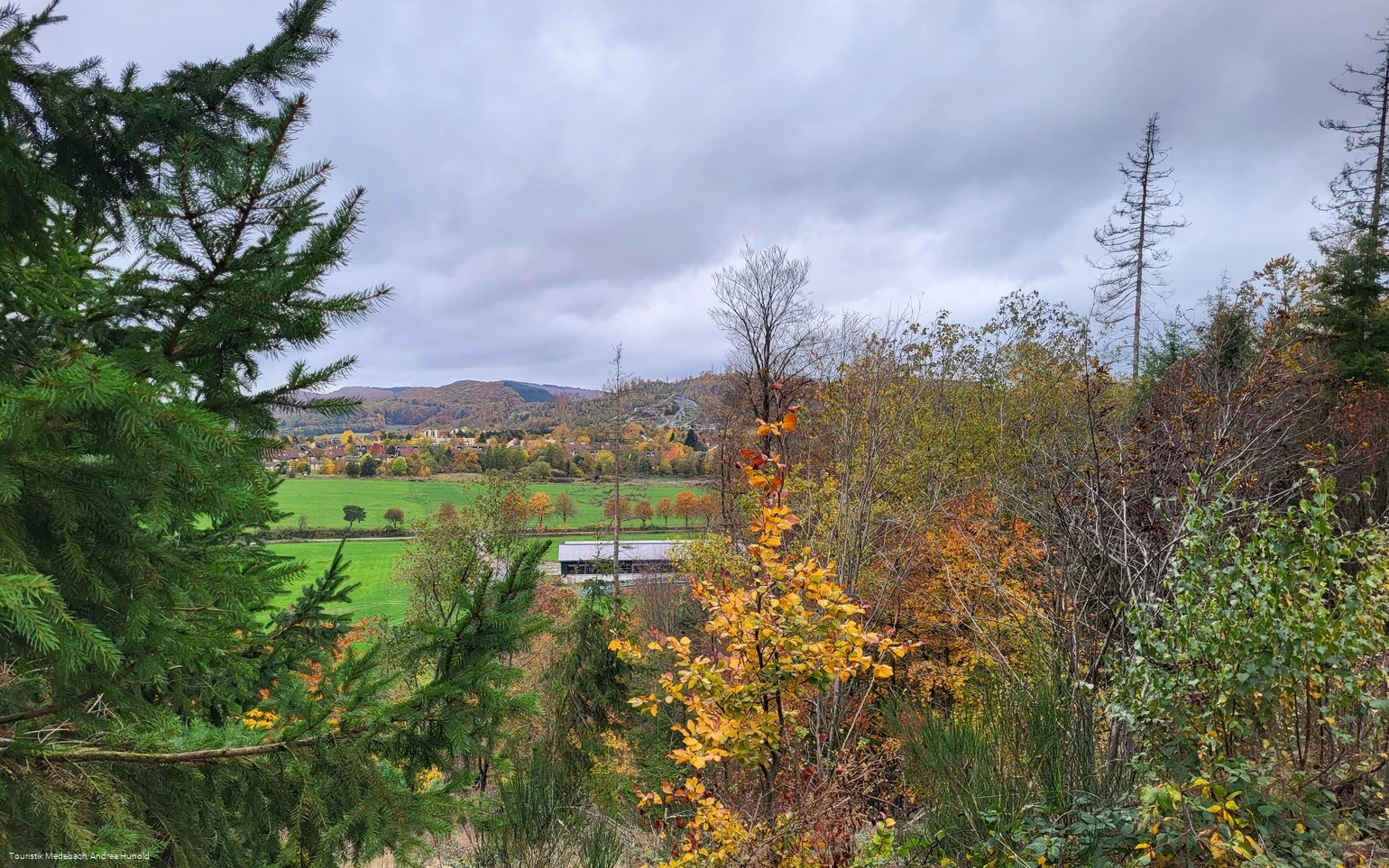Ausblick vom Hasenkammerblick / Weddelberg