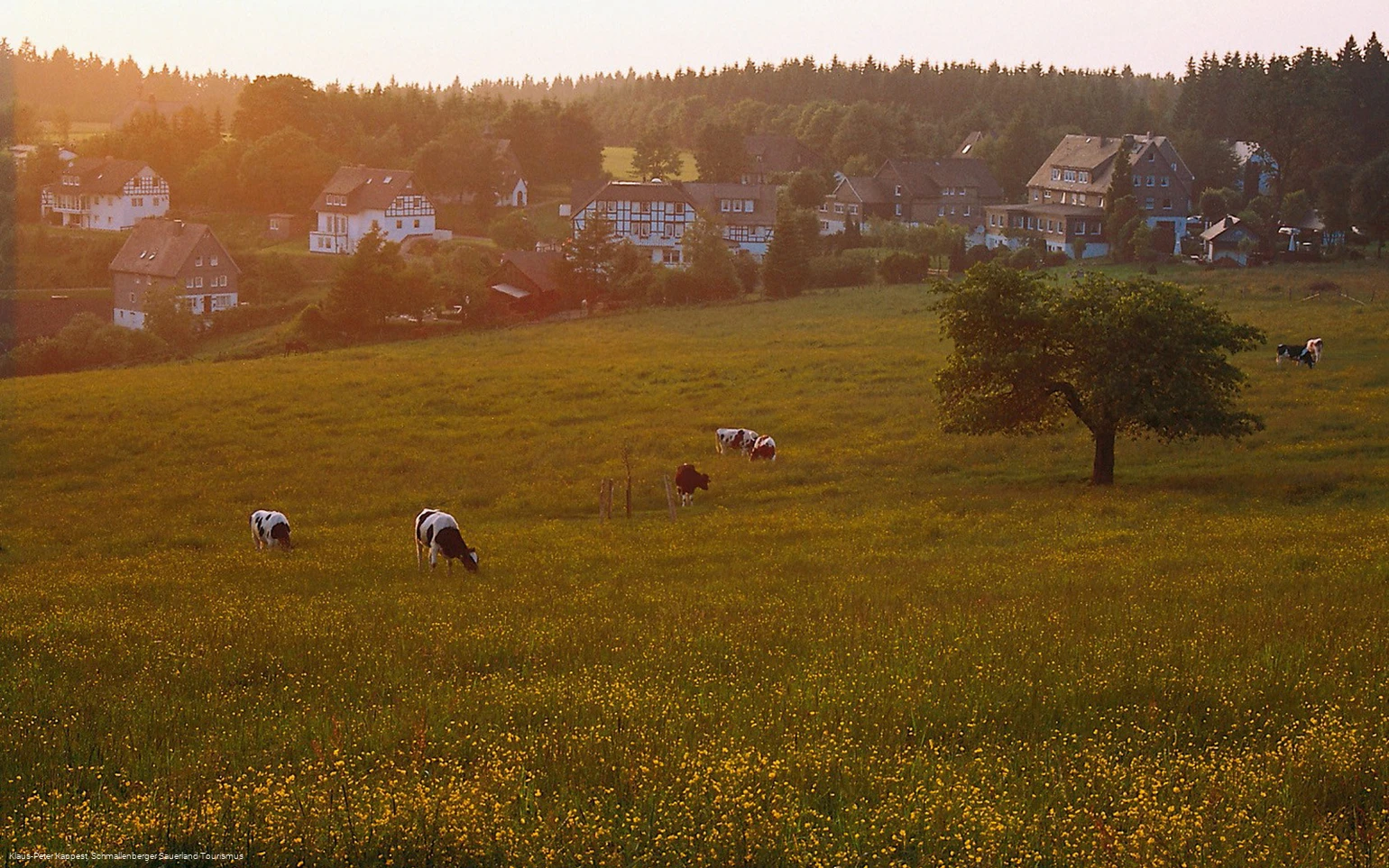 Höhendorf Schanze im Schmallenberger Sauerland