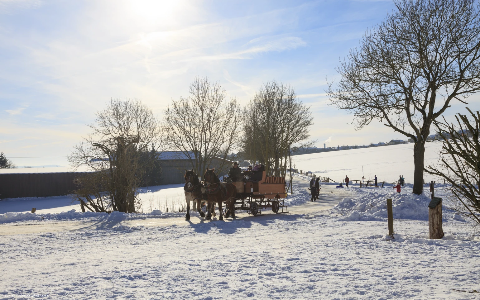 Pferdeschlitten im Winter in Medebach
