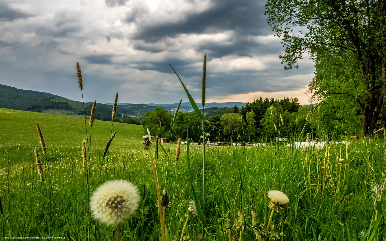 Blick Richtung Schmallenberg am Wanderparkplatz "Auf der Böhre"