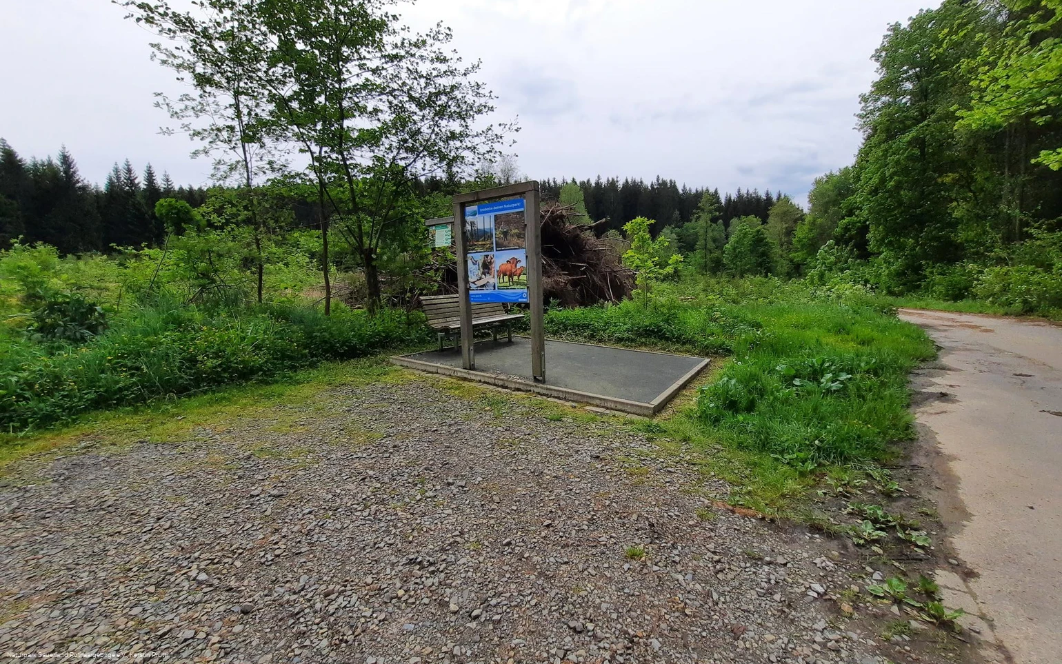 Wanderparkplatz Dollenbruch.jpg