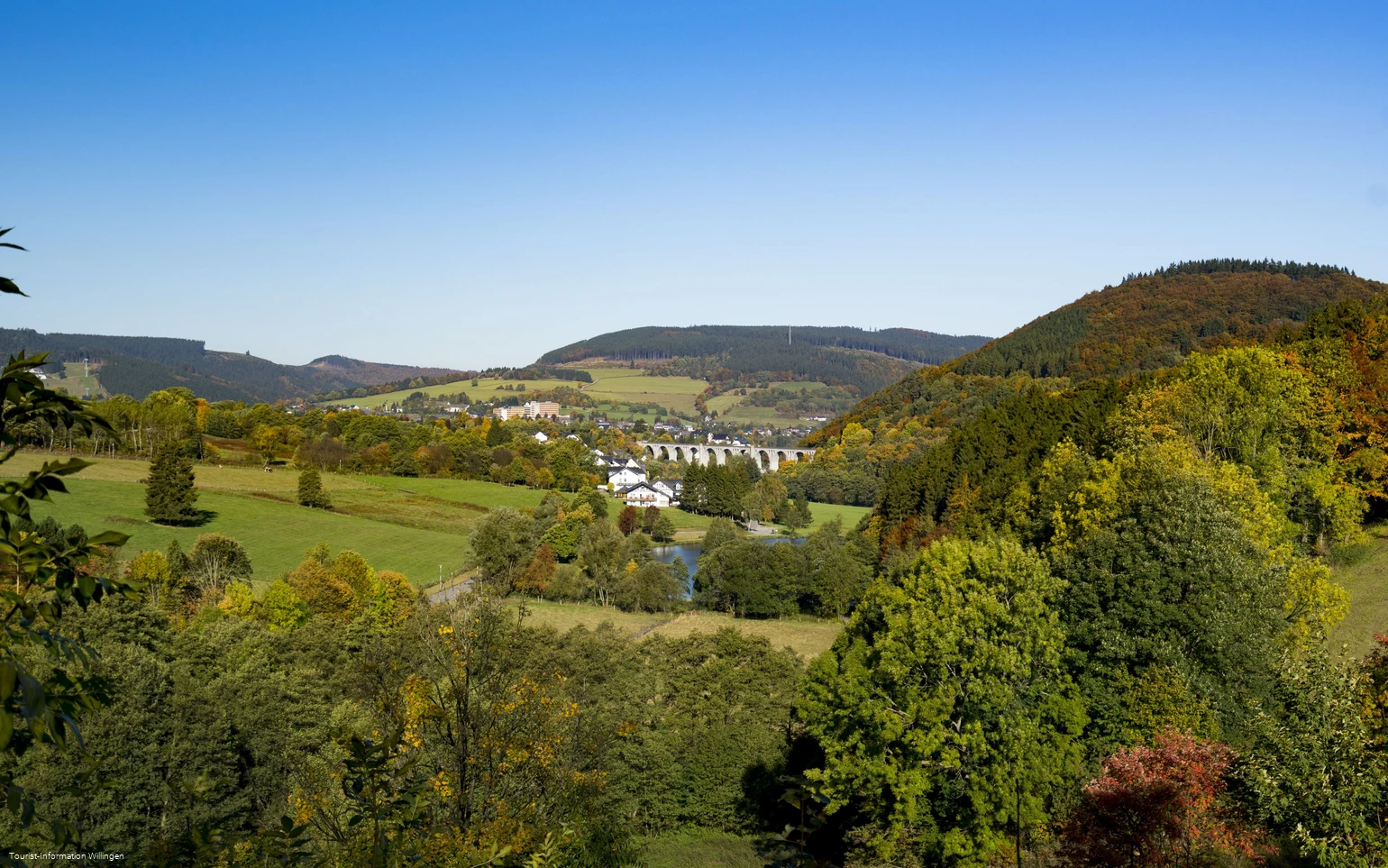 Blick vom Stryck auf Willingen 