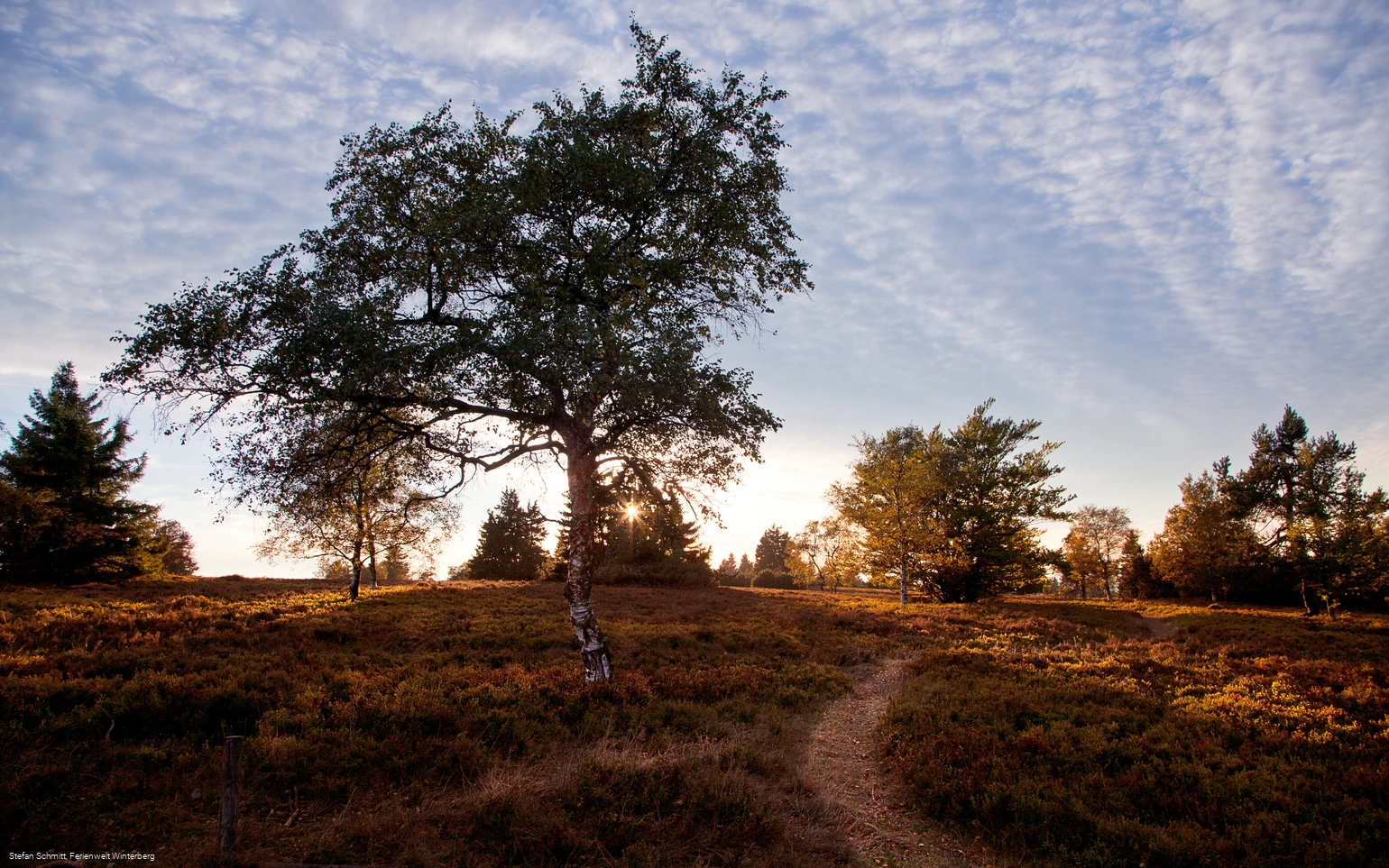 Landschaftstherapieweg auf der Niedersfelder Hochheide