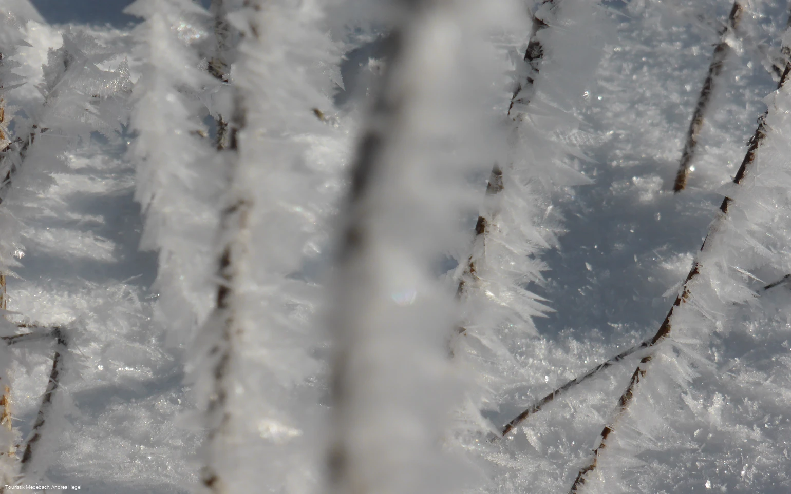 Winter in Medebach