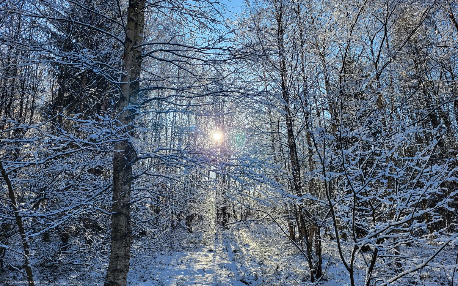 Winterwanderung Küstelberg (33).jpg