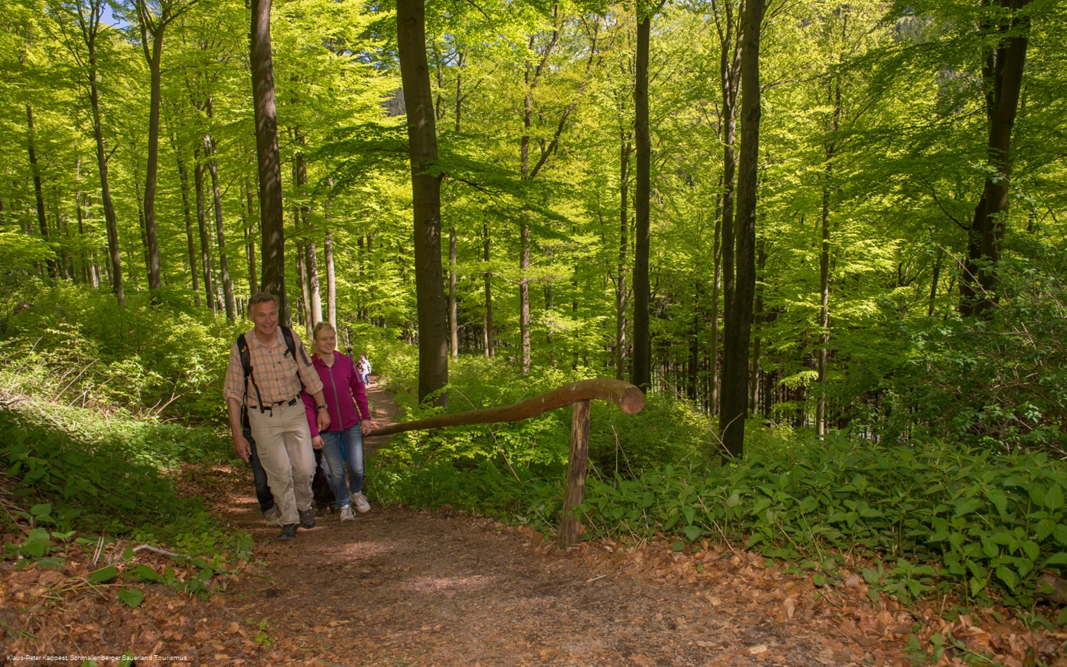 Wandern im Sorpetal