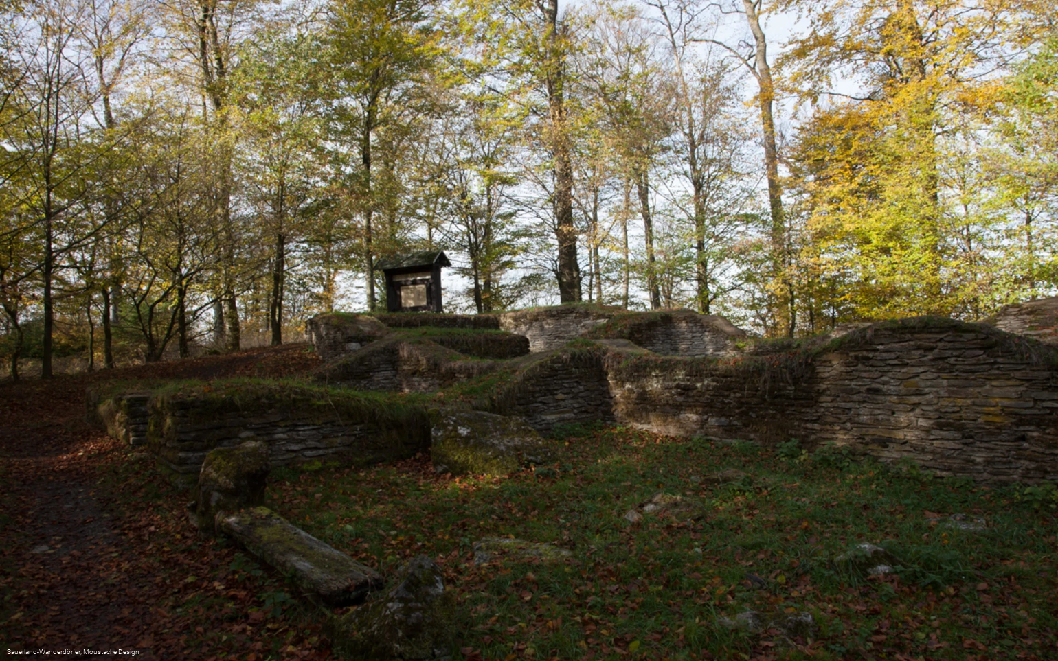 Wallburganlage auf dem Borberg