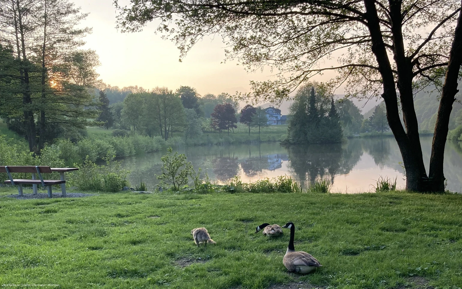Stryckteich im Abendlicht